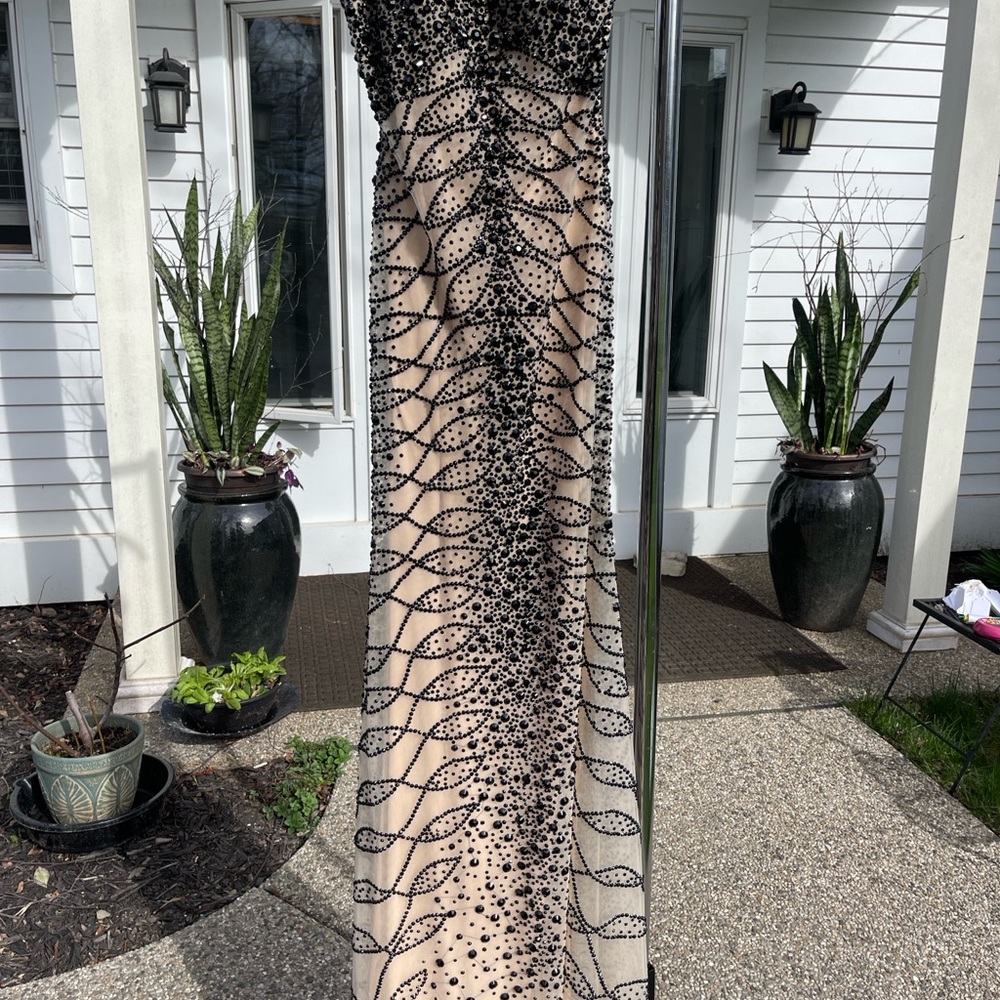 ππ»Vienna Pageant Dress π€π€ - Picture 1 of 14